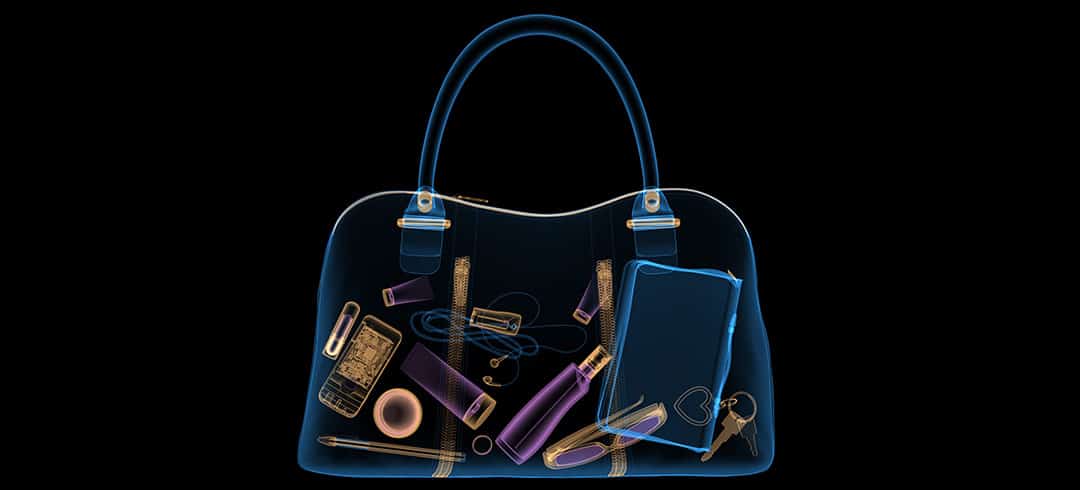 X-Ray of a purse
