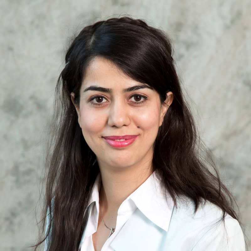 Fari-Fathi 2024 RSIC Director Dr. Reza Moridi